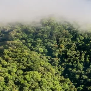 b5-foto-adidas-terrex-der